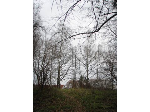 Foto 38